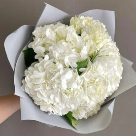 Северное сияние из 5 гортензий