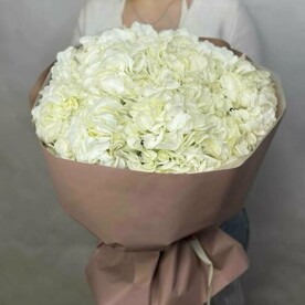 Фарфор из 7 гортензий