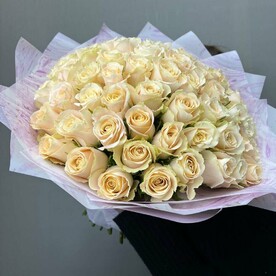 Роза шт, Пленка шт