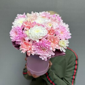 Хризантема кустовая в шляпной коробке