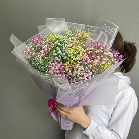 Гипсофила 7 штук