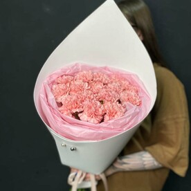 Букет из 15 нежных диантусов в мягкой упаковке