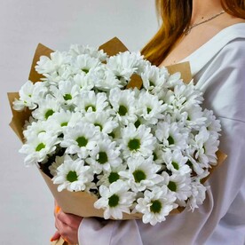 Хризантема кустовая, Упаковка