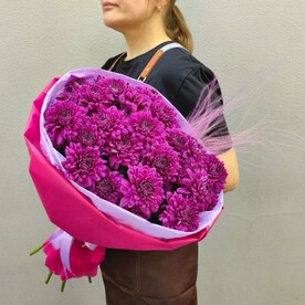 Хризантема кустовая, Стифа, Упаковка