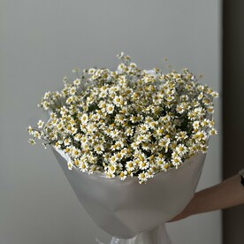 Монобукет из 15 голландских кустовых ромашек 🌷