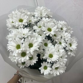 Хризантема кустовая, Стильная упаковка