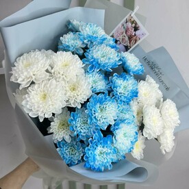 Синие хризантемы, букет микс оттенков.