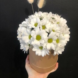 Ромашки