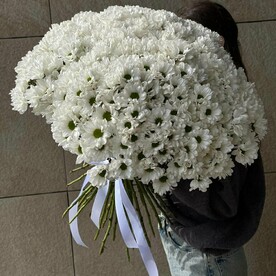 Букет из 55 ромашковых хризантем