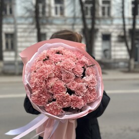 Букет из розовых диантусов 31шт.