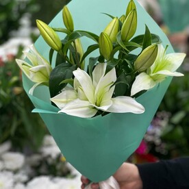 Лилия, Пленка