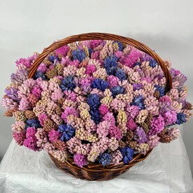 251 гиацинт в корзине