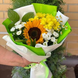 Салал, Сантини, Подсолнух, Хризантема кустовая, Танацетум, Упаковка