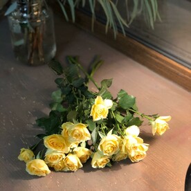 ГРЕТТА