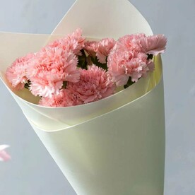 Гвоздика розовая, Фоамиран