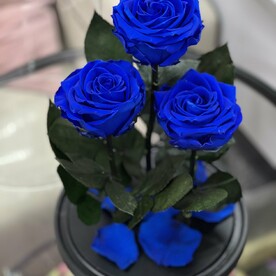 Роза стабилизированная, Стеклянная колба, Подарочная коробка с вау эффектом раскрывающаяся на стороны черная