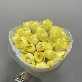 25 пионовидных тюльпанов