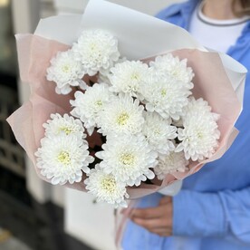Хризантема кустовая, Авторская упаковка, Тишью