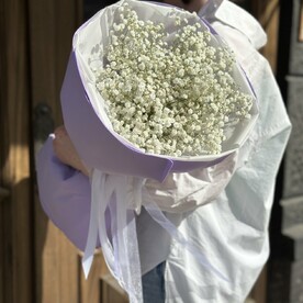 Гипсофила белая, Авторская упаковка