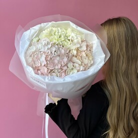 Монобукет "ГОРТЕНЗИЯ" 3 шт, белый и розовый цвет