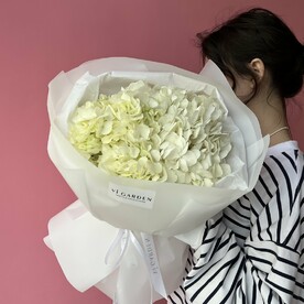 Монобукет «ГОРТЕНЗИЯ 3» белый цвет, 3 шт