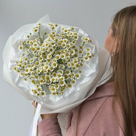 БУКЕТ «РОМАШКА» 7шт