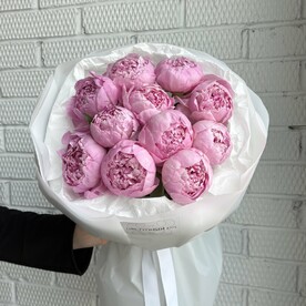Пион «Сара Бернар» 11шт