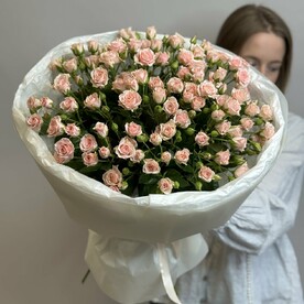 Роза кустовая, Пленка корейская, Тишью
