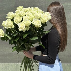Роза белая
