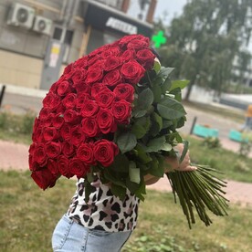101 Роза метровая