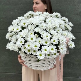 Хризантема кустовая, Корзина