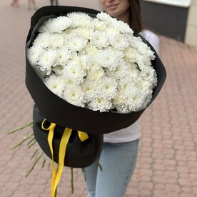Хризантемы