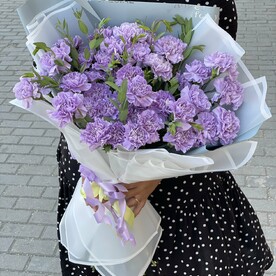 Гвоздика одноголовая, Зелень, Дизайнерская упаковка