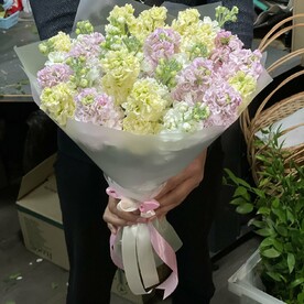 Маттиола шт, Упаковка шт, шт