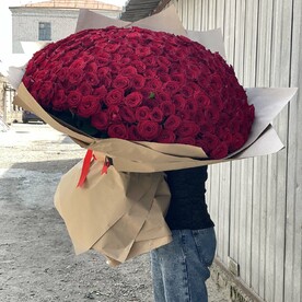 Роза шт, Крафт шт, шт