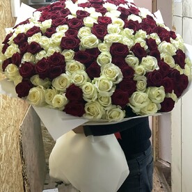 Роза шт, Крафт шт, шт