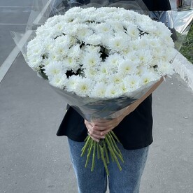 Хризантема кустовая, Крафт