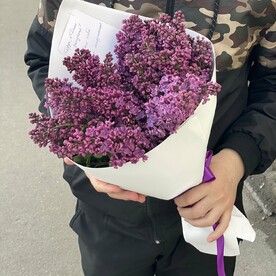 Сирень, Упаковка