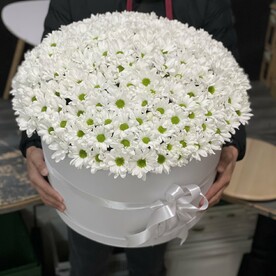 Хризантема кустовая шт, Флористическая губка шт, Шляпная коробка шт, шт