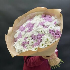 Букет из 35 кустовых хризантем