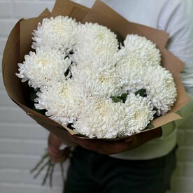 Букет из 11 белых шаровидных хризантем