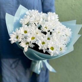 Букет из 5 кустовых хризантем