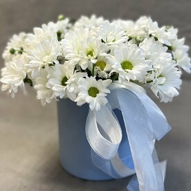 Коробка с ромашками