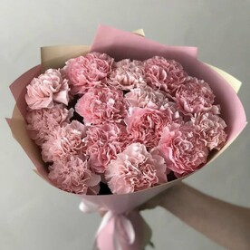 Букет из 15 розовых диантусов