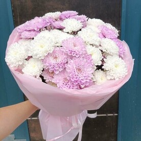 Букет бело-розовых хризантем
