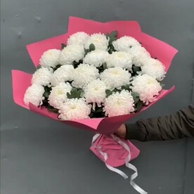 Крымская хризантемы