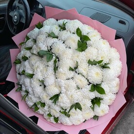 Крымская хризантема