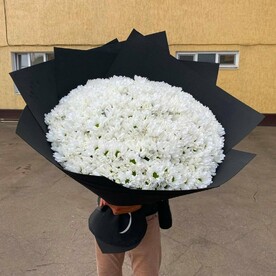 Хризантема ромашковая