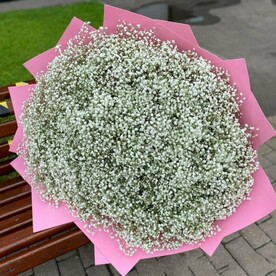 Букет из гипсофила