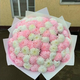 Крымская хризантема